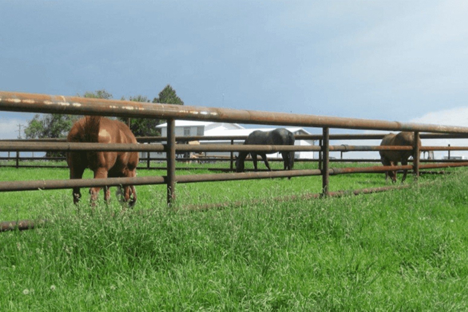 pipe fencing for cattle