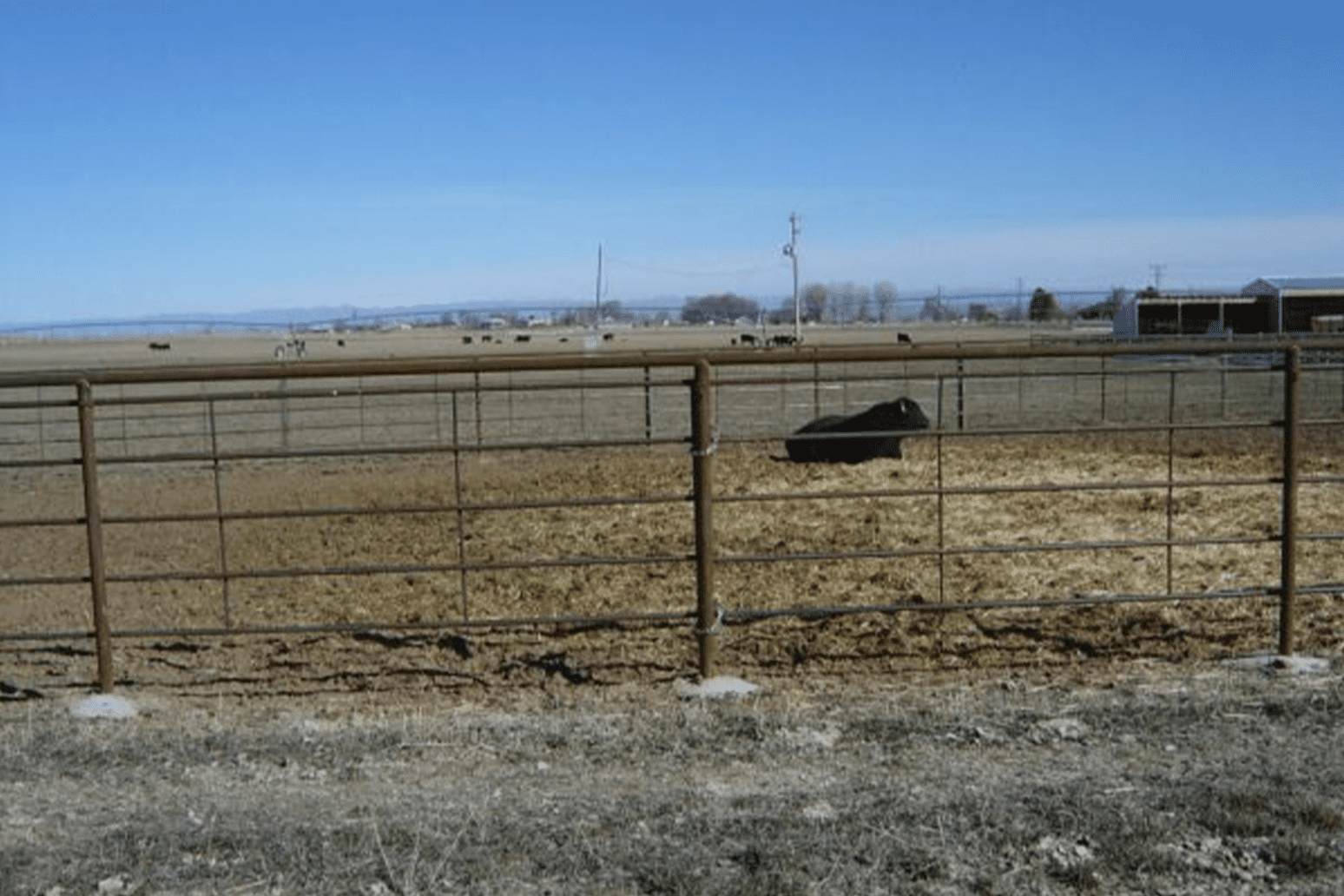 livestock fence panels