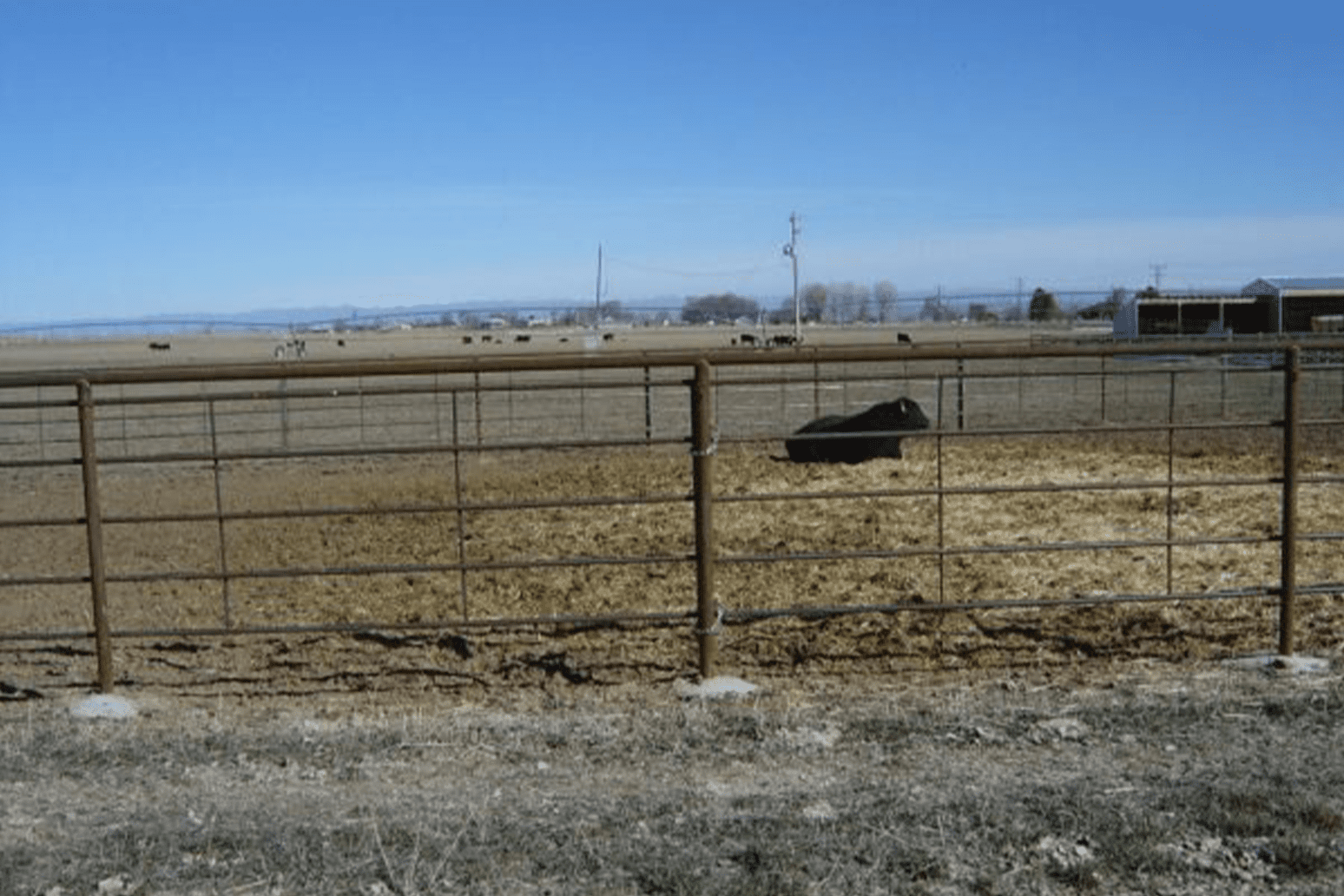 metal fence utah