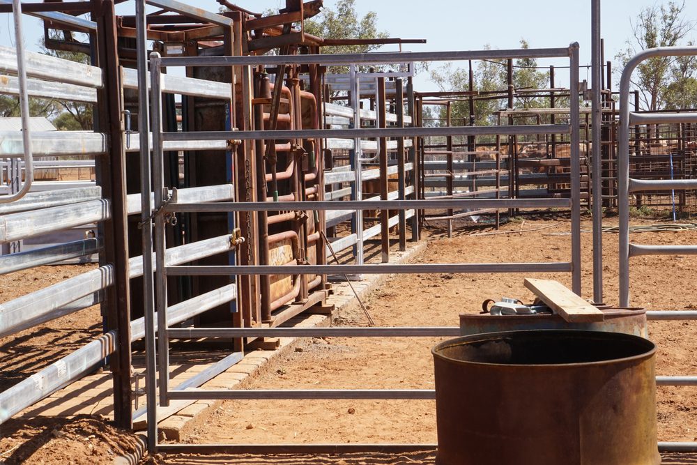 pipe fencing for cattle