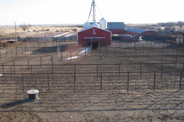 Rail CFP cattle facility