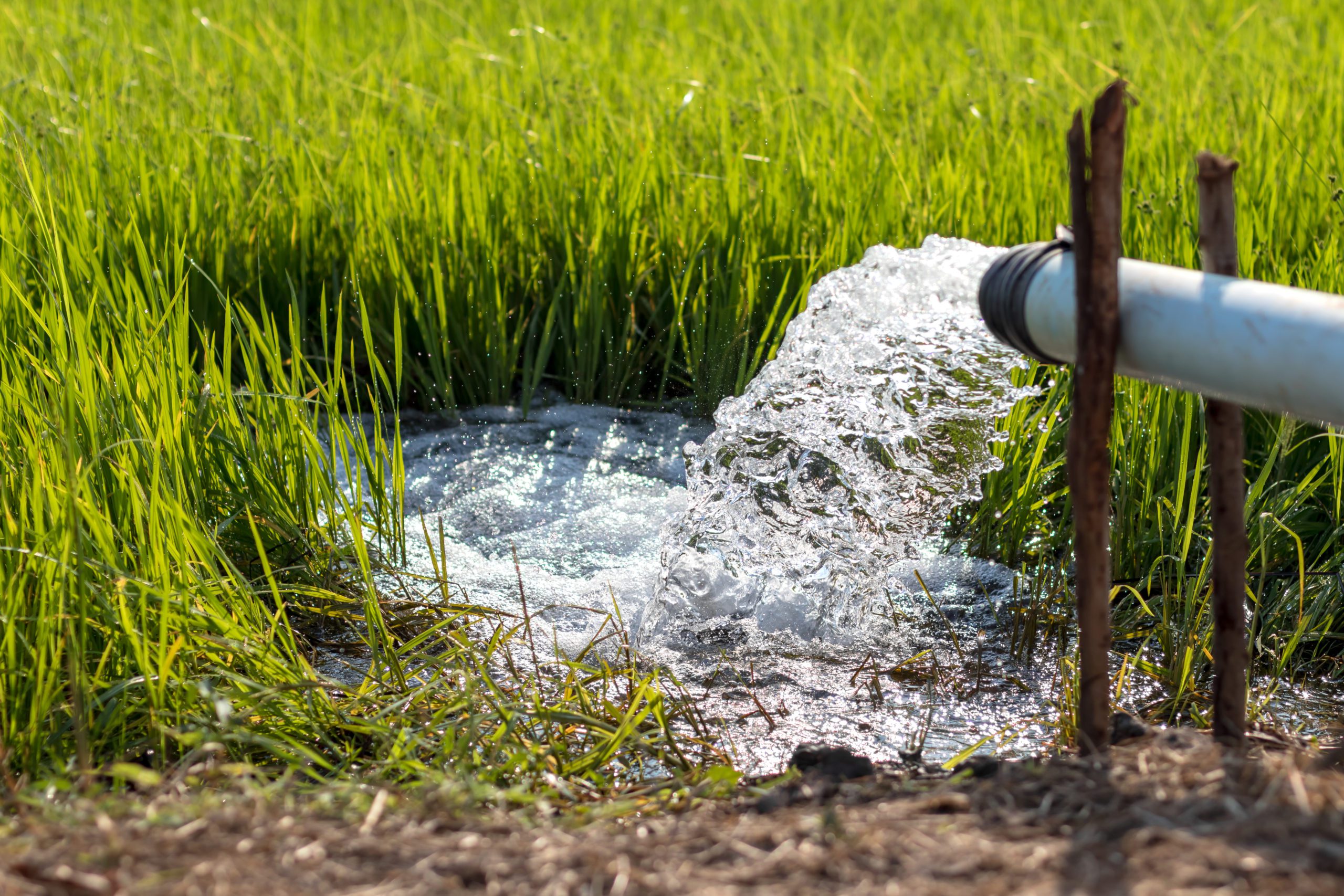 pipes for irrigation