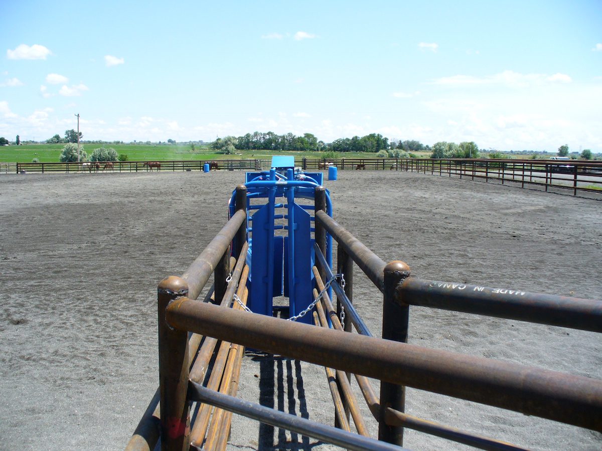 livestock fence panels