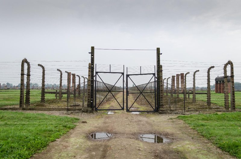 metal farm gates